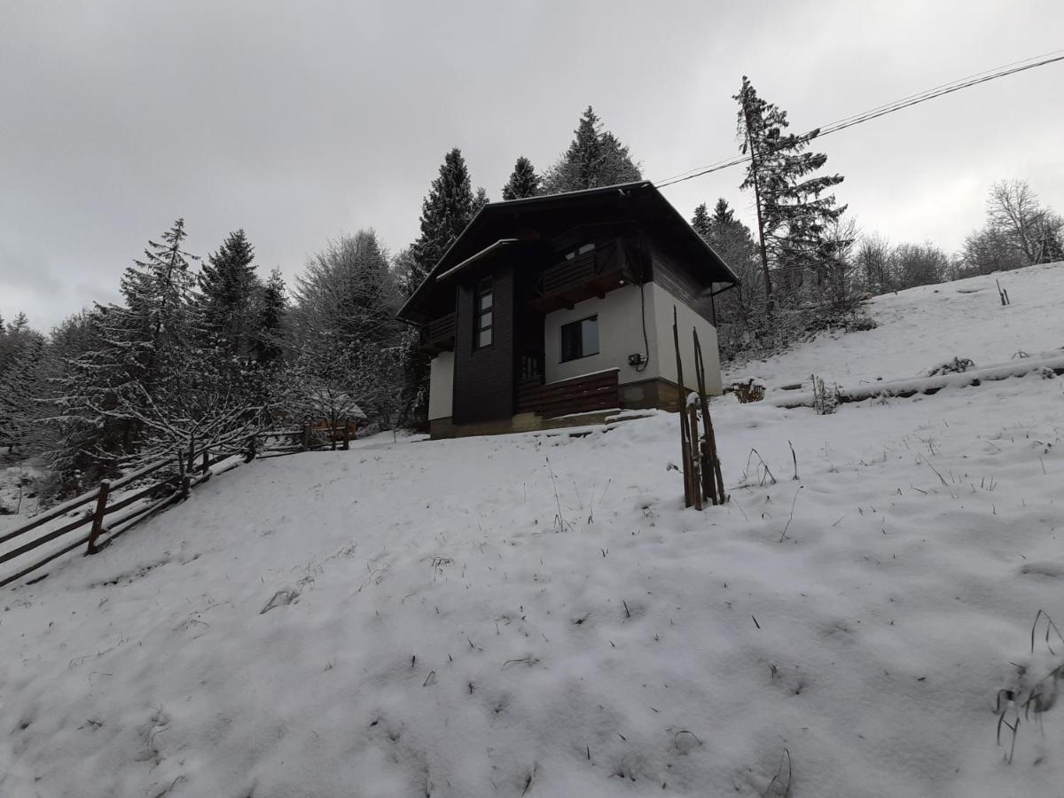 Під Боржавою Pilipets Exterior foto