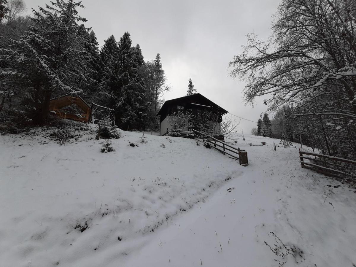 Під Боржавою Pilipets Exterior foto